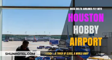Delta Airlines at Houston Hobby: Routes, Schedules, and Travel Tips