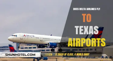 Delta Airlines Texas Flights: Which Airports Does Delta Serve?
