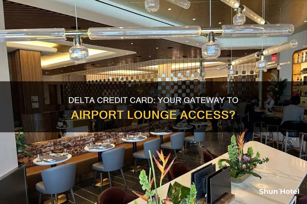 does delta credit card get you into airport lounges