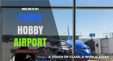 Does Delta Airlines Operate Flights from Houston Hobby Airport?