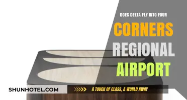 Does Delta Service Four Corners Regional Airport? Flight Details Revealed