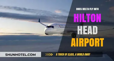 Delta Flights to Hilton Head Airport: Routes, Schedules, and Travel Tips