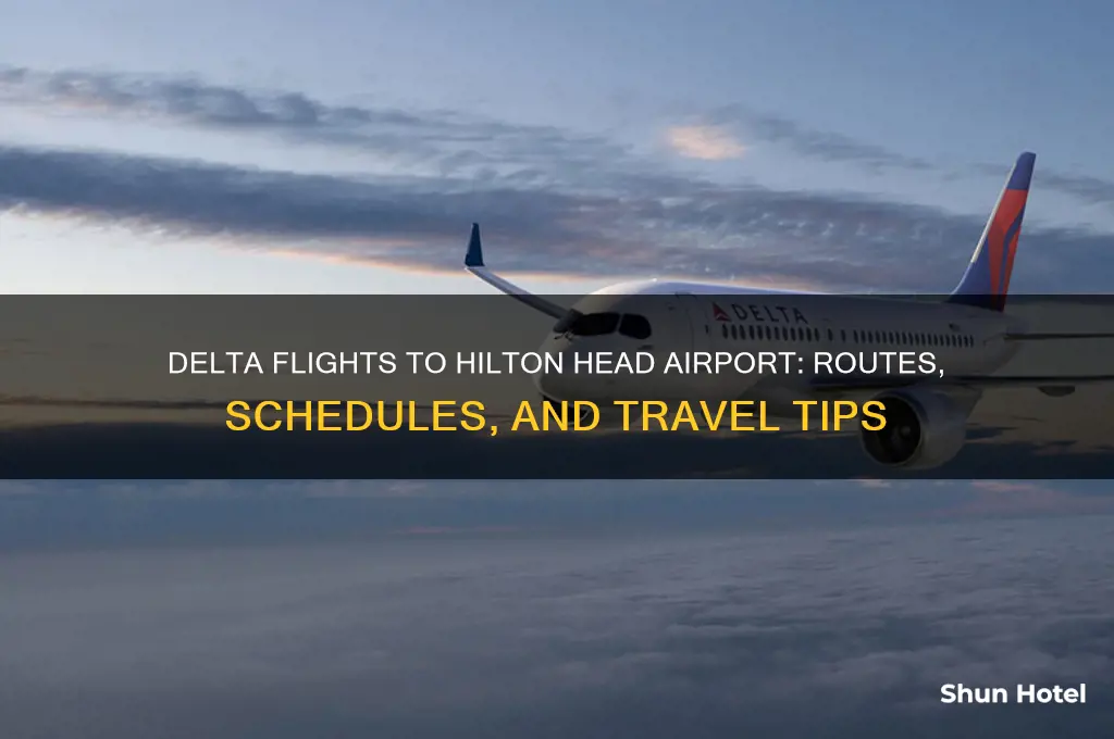 does delta fly into hilton head airport