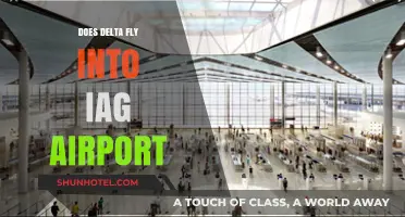 Delta Airlines at IAG: Does Delta Fly into IAG Airport?