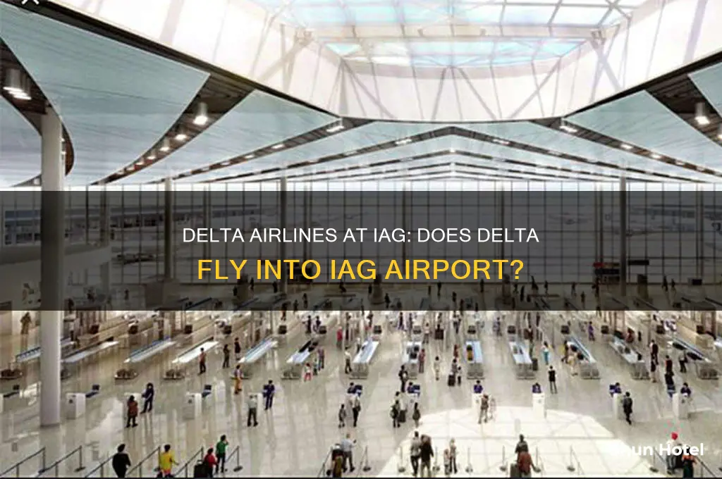 does delta fly into iag airport