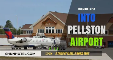 Delta Airlines Service to Pellston Airport: Availability and Flight Options