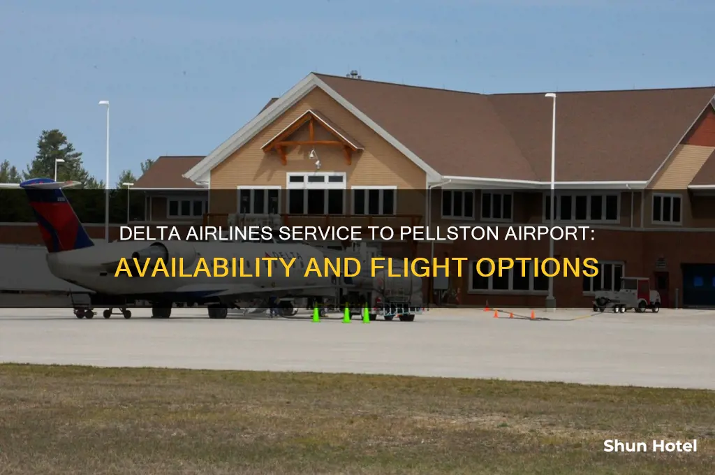 does delta fly into pellston airport