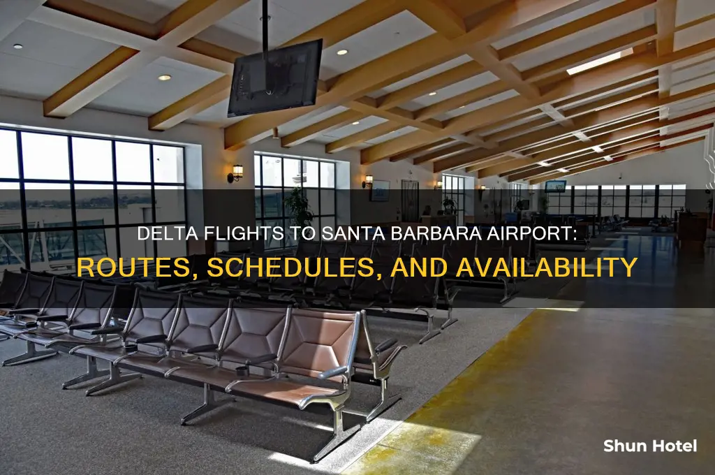 does delta fly into santa barbara airport