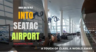 Delta Airlines at SeaTac: Routes, Schedules, and Travel Tips