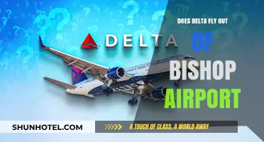 Does Delta Operate Flights from Bishop Airport? A Quick Guide