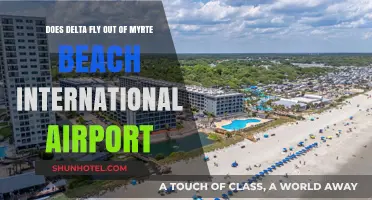 Delta Airlines: Flights from Myrtle Beach International Airport?