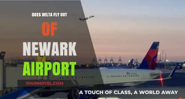 Does Delta Operate Flights from Newark Airport? A Comprehensive Guide