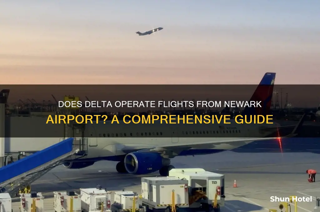 does delta fly out of newark airport