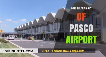 Delta Airlines at Pasco Airport: Routes, Schedules, and Travel Options