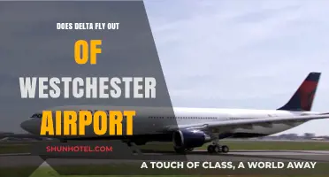 Delta Airlines at Westchester Airport: Routes, Schedules, and Services