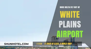 Delta Airlines Operations: White Plains Airport Departure Services Explained