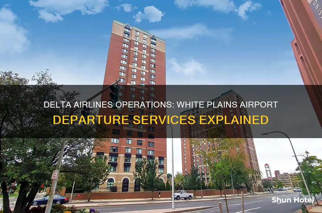 does delta fly out of white plains airport