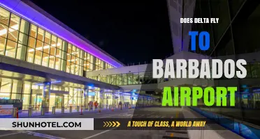 Delta Flights to Barbados: Airport Routes and Travel Options