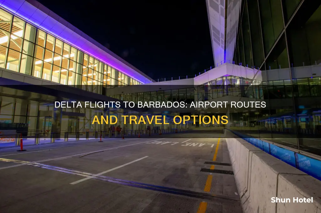 does delta fly to barbados airport