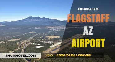 Does Delta Fly to Flagstaff, AZ Airport? Your Travel Guide