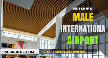 Delta Flights to Male International Airport: Routes and Availability