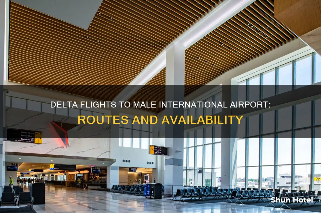 does delta fly to male international airport