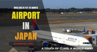 Delta Airlines Flights to Narita Airport: Routes and Schedules Explained