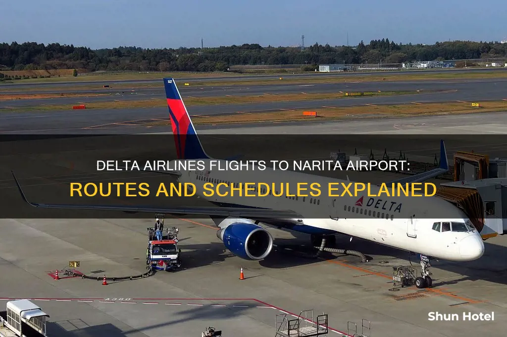 does delta fly to narita airport in japan