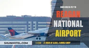 Delta Airlines: Does It Fly to Reagan National Airport?