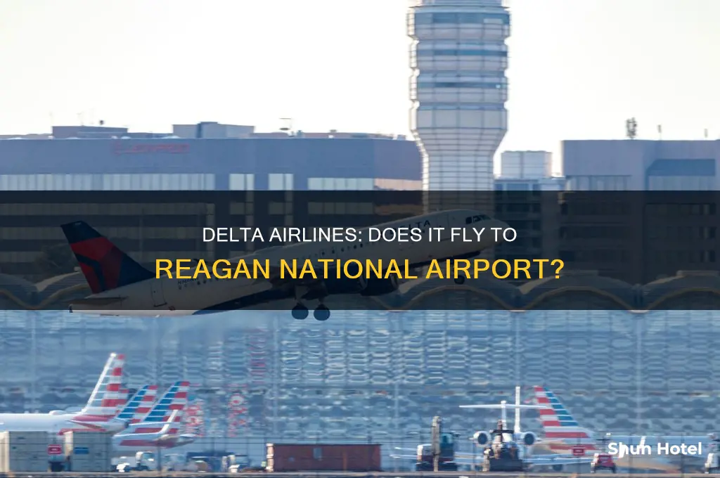 does delta fly to reagan national airport