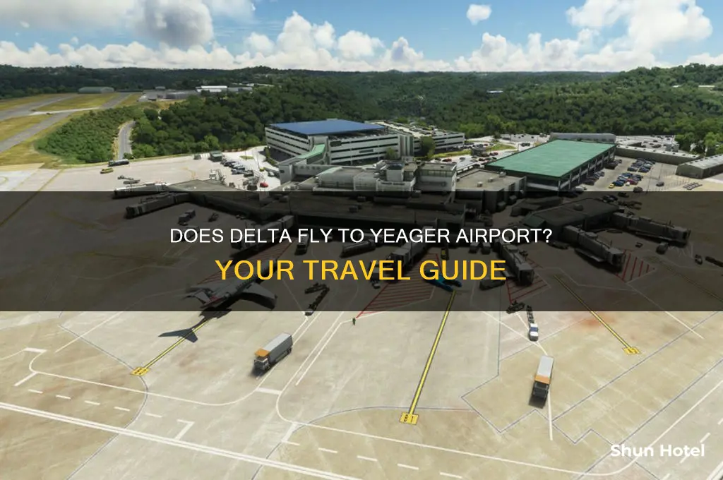 does delta fly to yeager airport