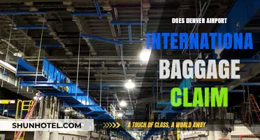 Navigating Denver International Airport's Baggage Claim: Tips and Insights