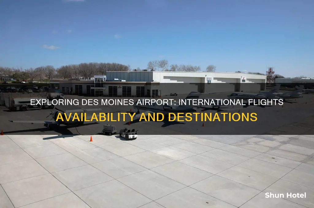 does des moines airport have international flights