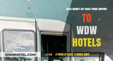 Disney's Baggage Service: Airport to WDW Hotels Explained