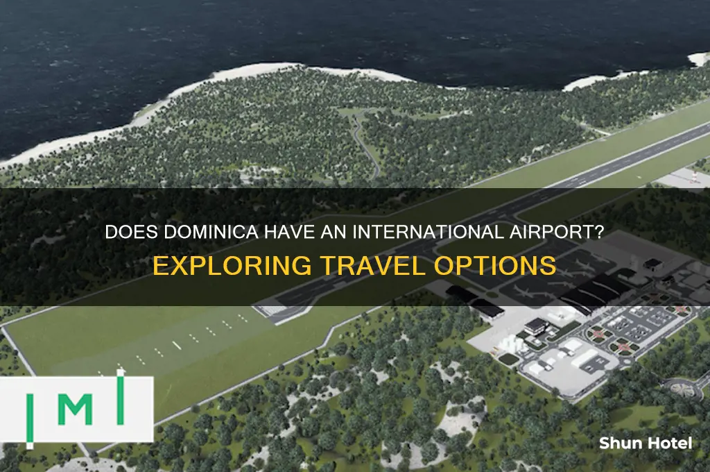 does dominica have an international airport