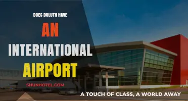 Duluth's Airport: International Hub or Regional Gateway? Exploring the Facts