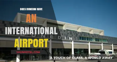 Does Dunedin Have an International Airport? Exploring Travel Options