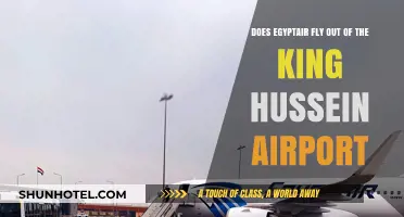EgyptAir Operations: Does It Serve King Hussein Airport in Jordan?