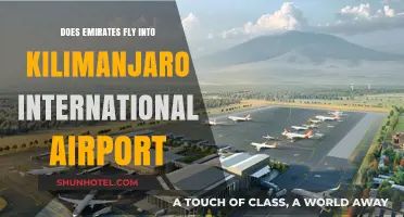 Emirates Flights to Kilimanjaro International Airport: Routes and Availability
