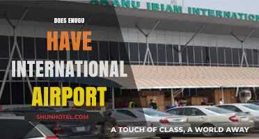Exploring Enugu's Airport: Is It an International Hub?