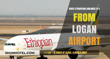 Ethiopian Airlines at Logan Airport: Routes, Schedules, and Travel Options