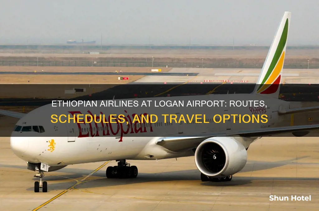 does ethiopian airlines fly from logan airport