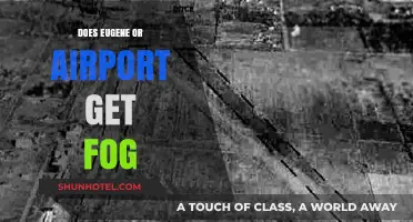 Does Eugene, Oregon Airport Experience Frequent Fog? A Detailed Analysis