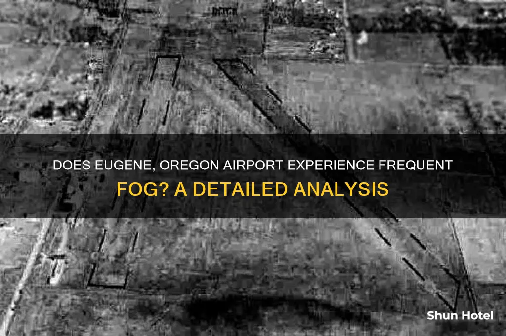 does eugene or airport get fog