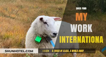Does Find My Work Globally? International Functionality Explained