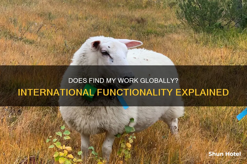 does find my work internationally