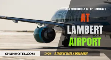 Frontier Airlines Terminal Guide: Lambert Airport's Terminal 1 Operations