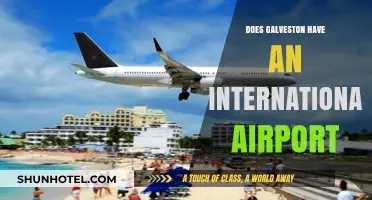 Galveston's Airport: International Hub or Local Gateway?