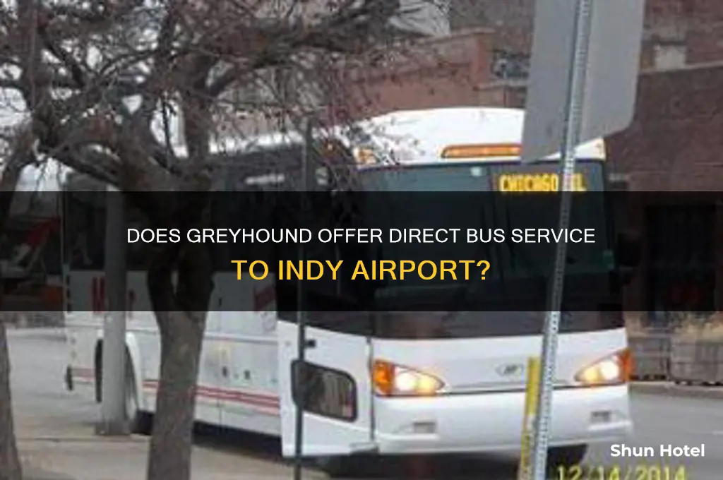 does geeyhound get to indy airport
