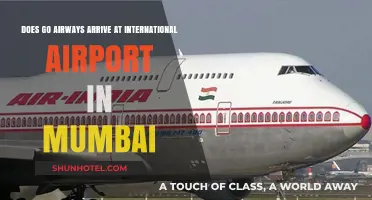 Go Airways Mumbai International Airport Arrival: Facts and Details